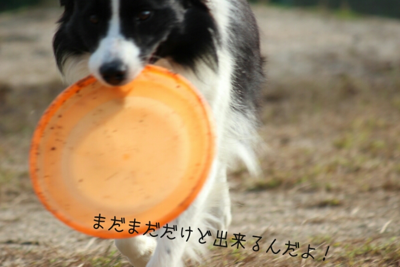 f0246611_0513443.jpg