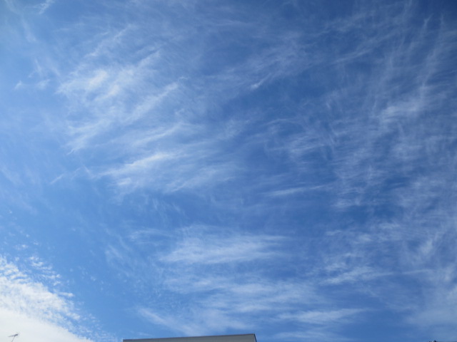 f0248616_14311366.jpg