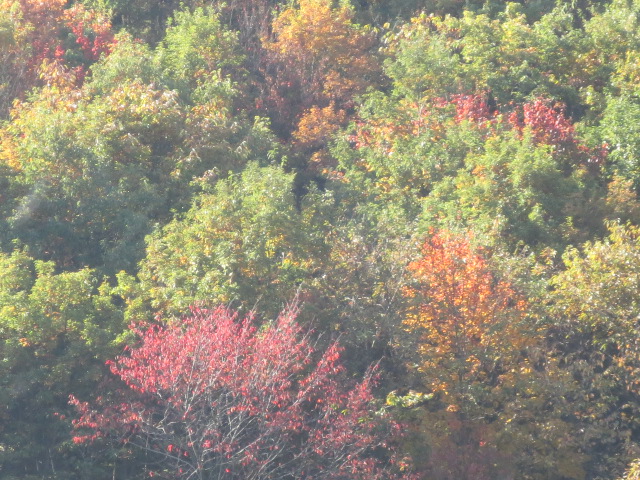 f0248616_14325986.jpg