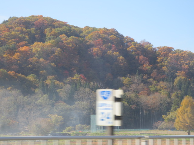 f0248616_1432815.jpg