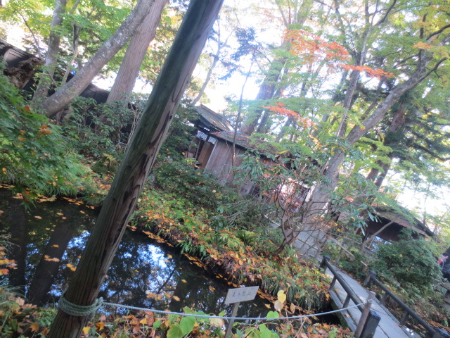 f0248616_2384984.jpg