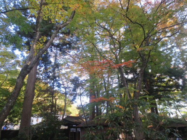 f0248616_239087.jpg