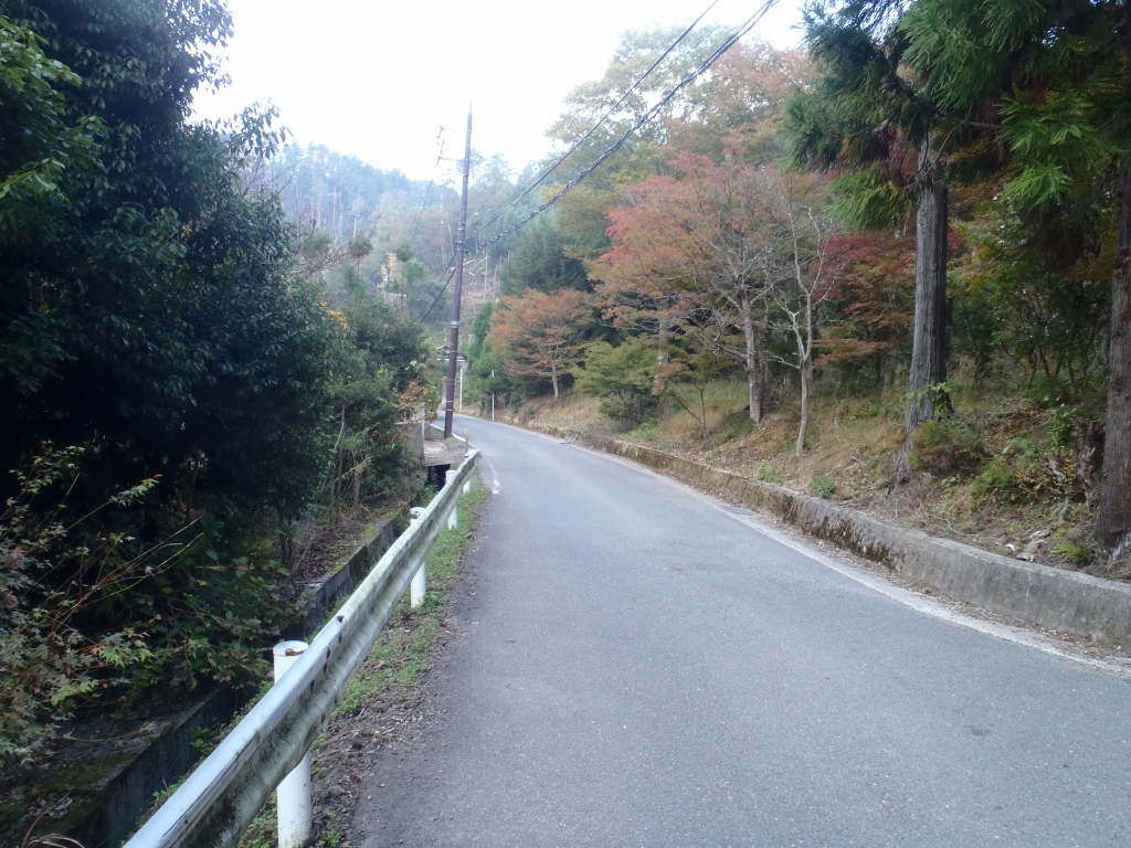 e0171018_2247364.jpg