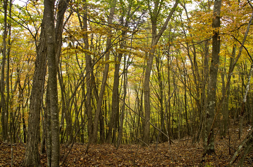 a0066720_23211760.jpg