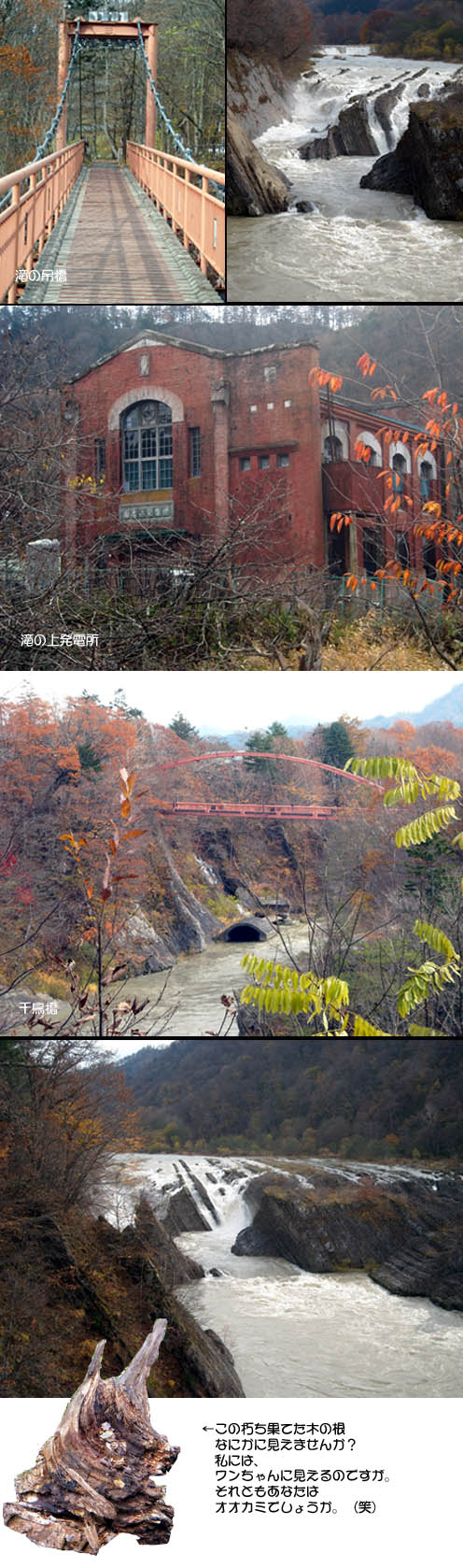 滝の上自然公園／紅葉の名所。時すでに遅し_f0227323_20132037.jpg