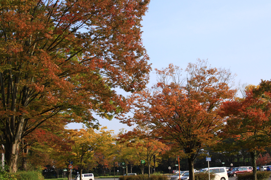 e0071225_2334478.jpg