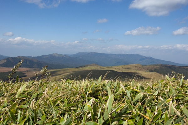 f0040525_20544035.jpg