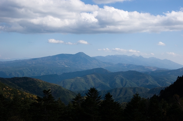 f0040525_20551857.jpg