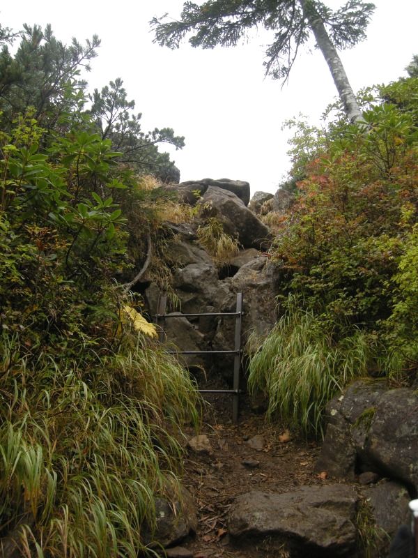 f0100825_10413374.jpg