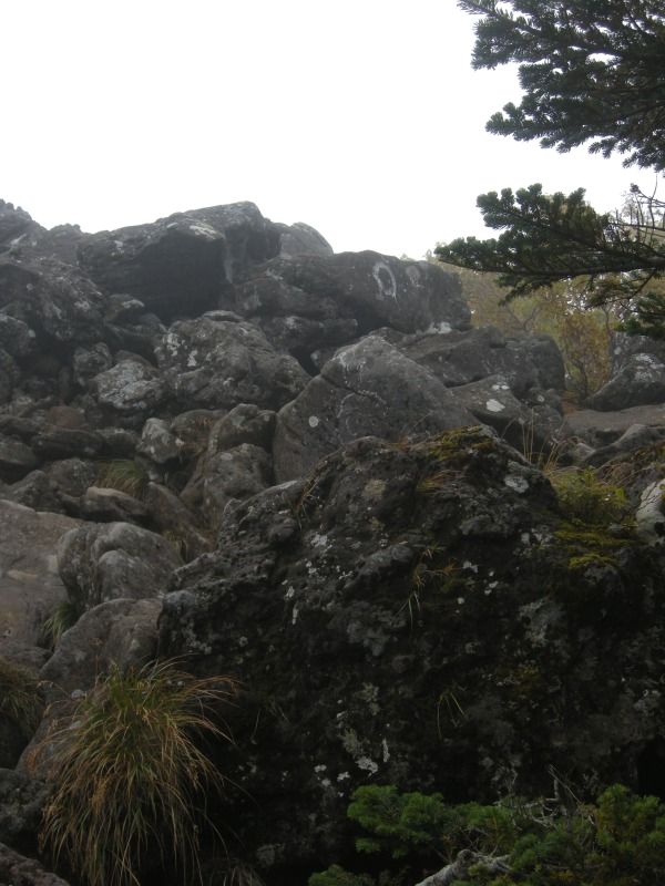 f0100825_10415913.jpg