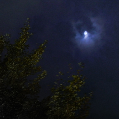 f0119425_1040380.jpg