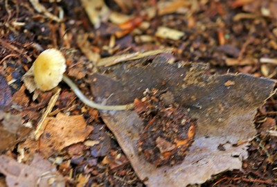 c0104227_19274324.jpg