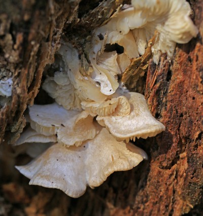c0104227_19574430.jpg