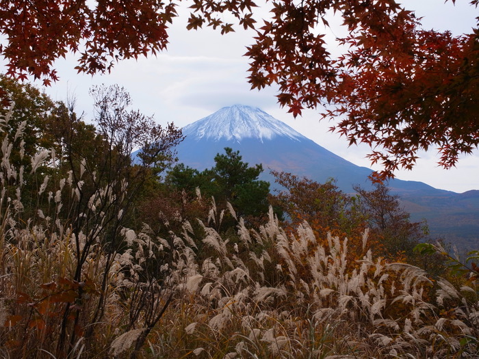 紅葉台_d0331929_20464846.jpg