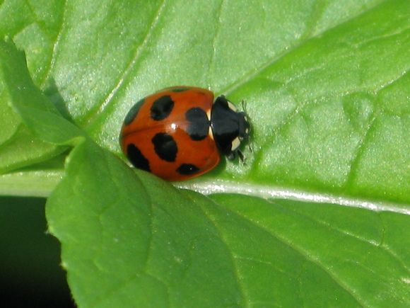 d0323231_18574380.jpg