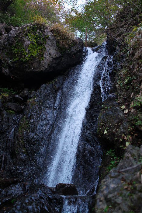 c0189533_15173542.jpg