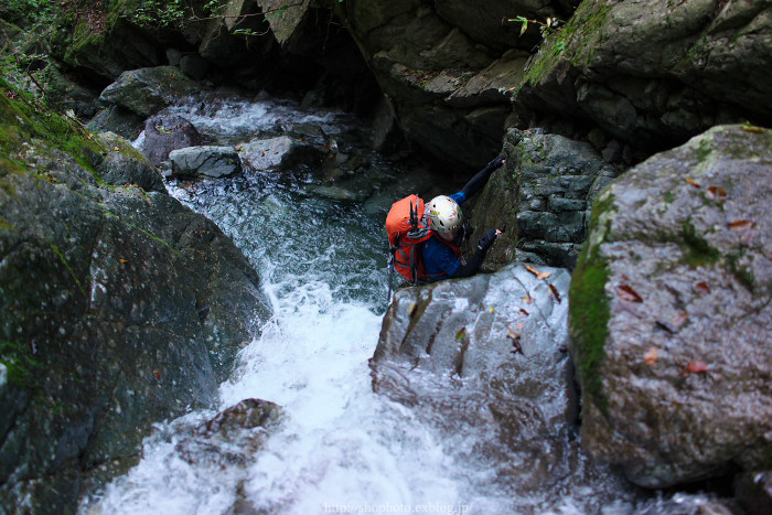 c0189533_156910.jpg