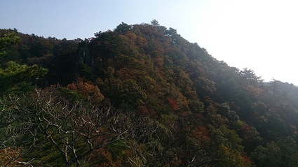 c0108034_62568.jpg