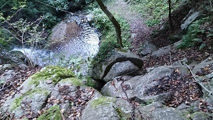 c0108034_69489.jpg
