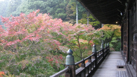 本日清水寺へ･･･｡_c0209334_2231418.jpg