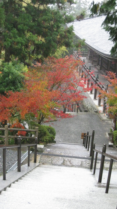 本日清水寺へ･･･｡_c0209334_22353815.jpg