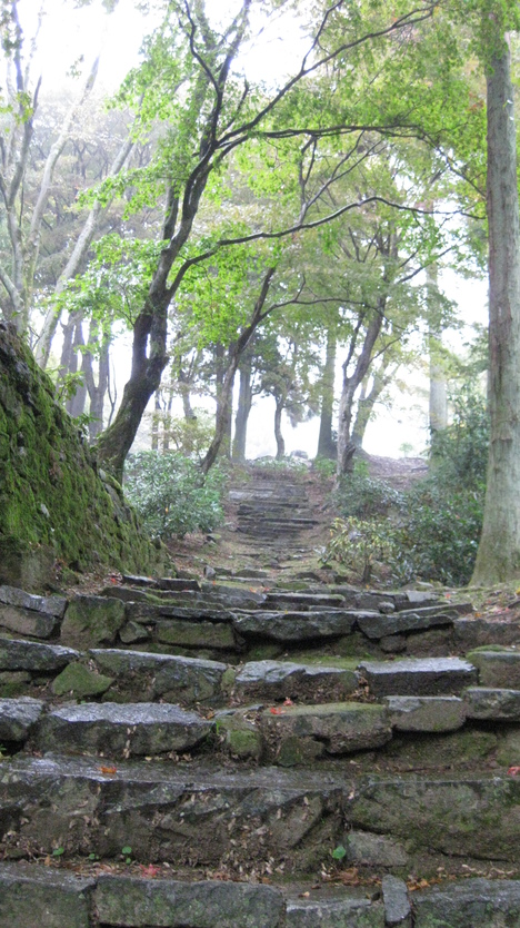 c0209334_22423317.jpg