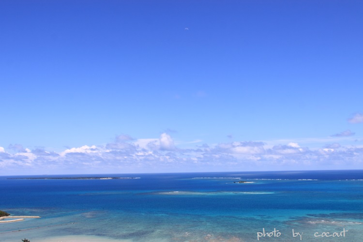 f0308134_0251647.jpg