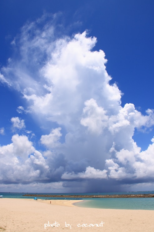 f0308134_0251777.jpg