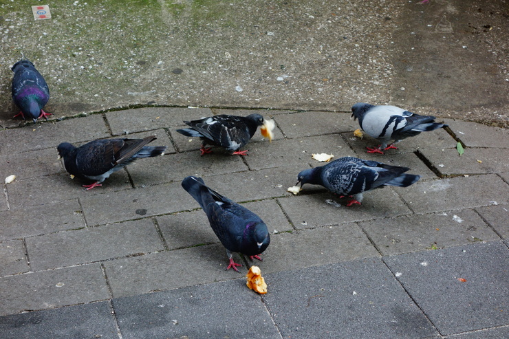 a0287336_20443346.jpg
