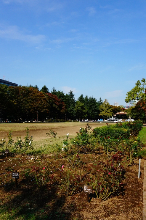 a0287336_21101427.jpg