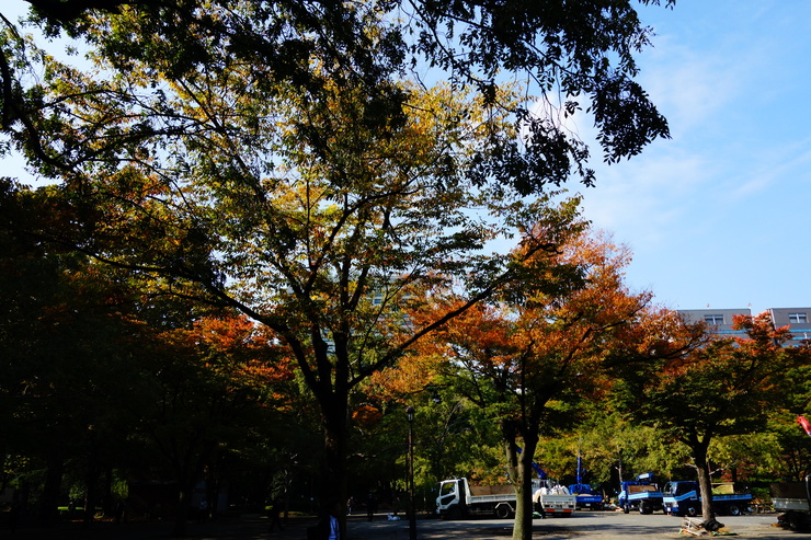 a0287336_2193924.jpg
