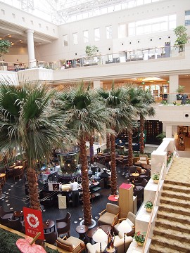 宮崎【神旅/猫旅】⑦ お鵜戸さんへ_b0141240_21111862.jpg