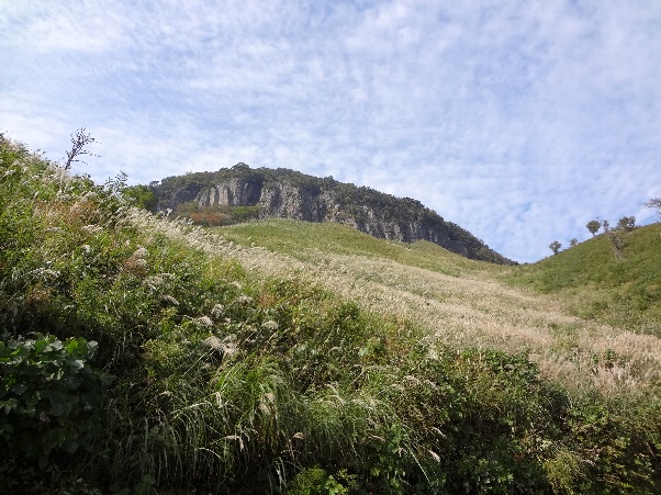 b0149340_1629148.jpg