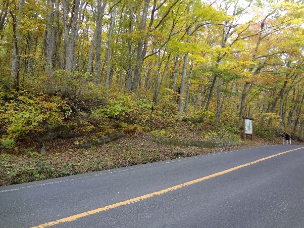 b0149340_1650084.jpg