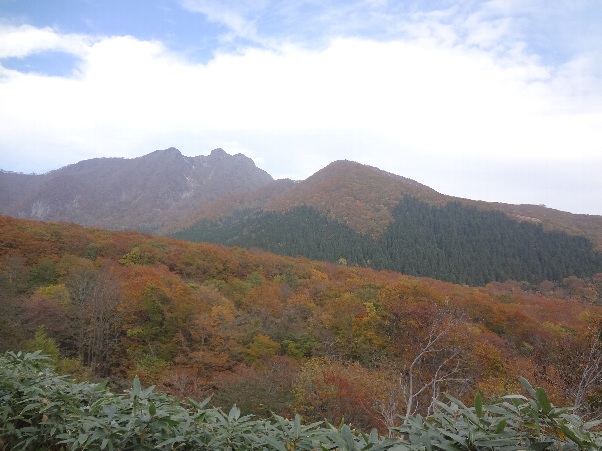b0149340_16575683.jpg