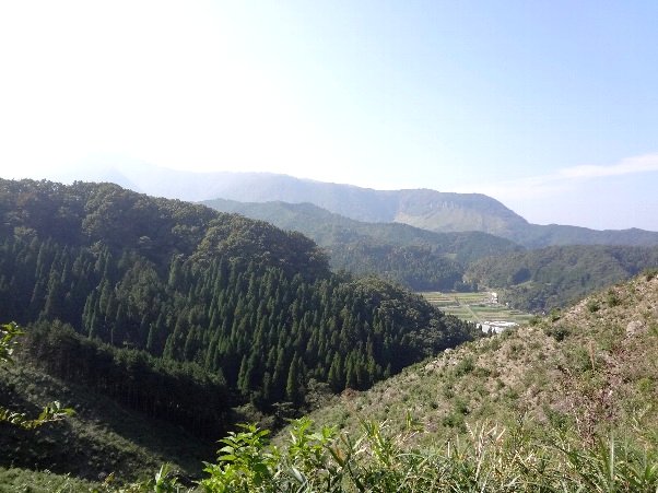 b0149340_17175246.jpg