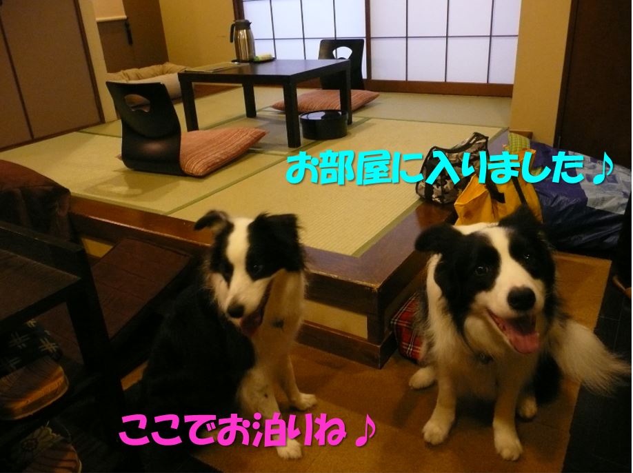 c0147241_17492387.jpg