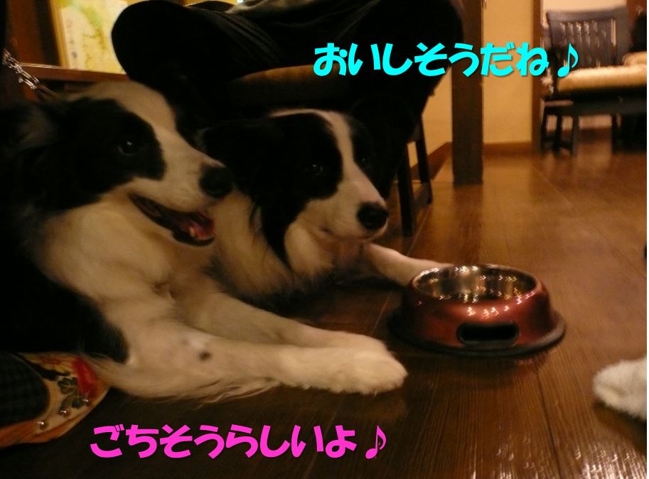 c0147241_17515520.jpg