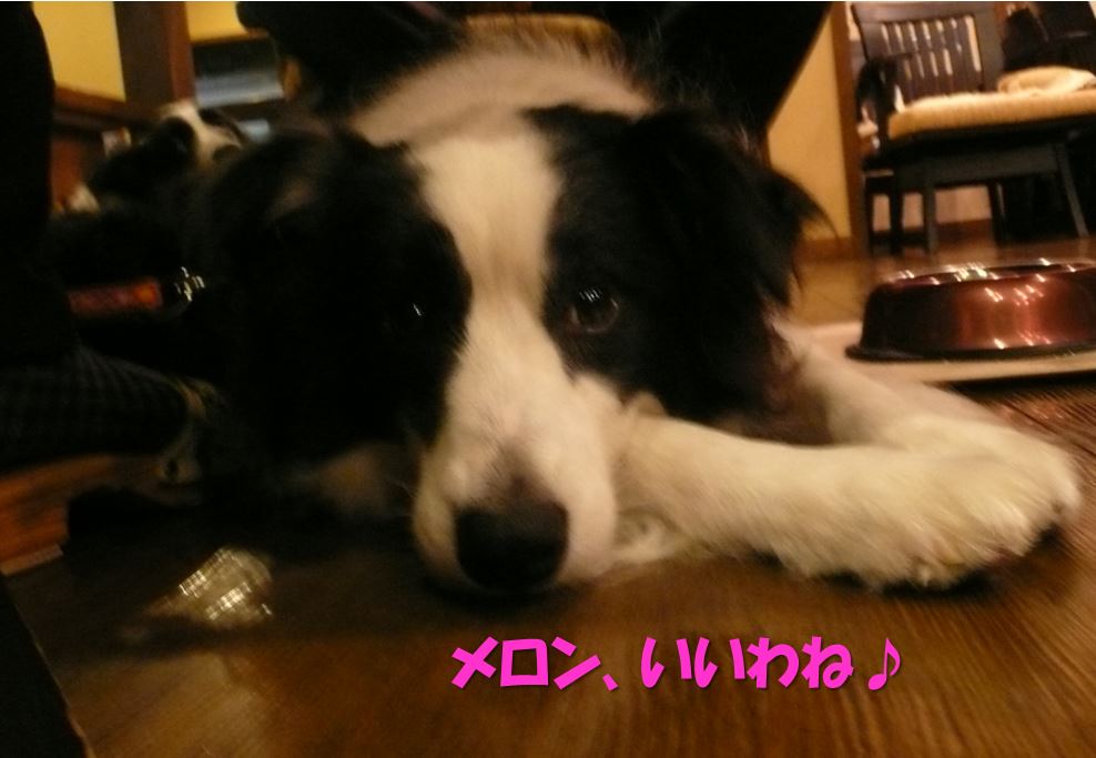 c0147241_1874187.jpg