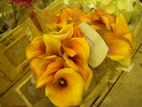 c0232541_18441478.jpg