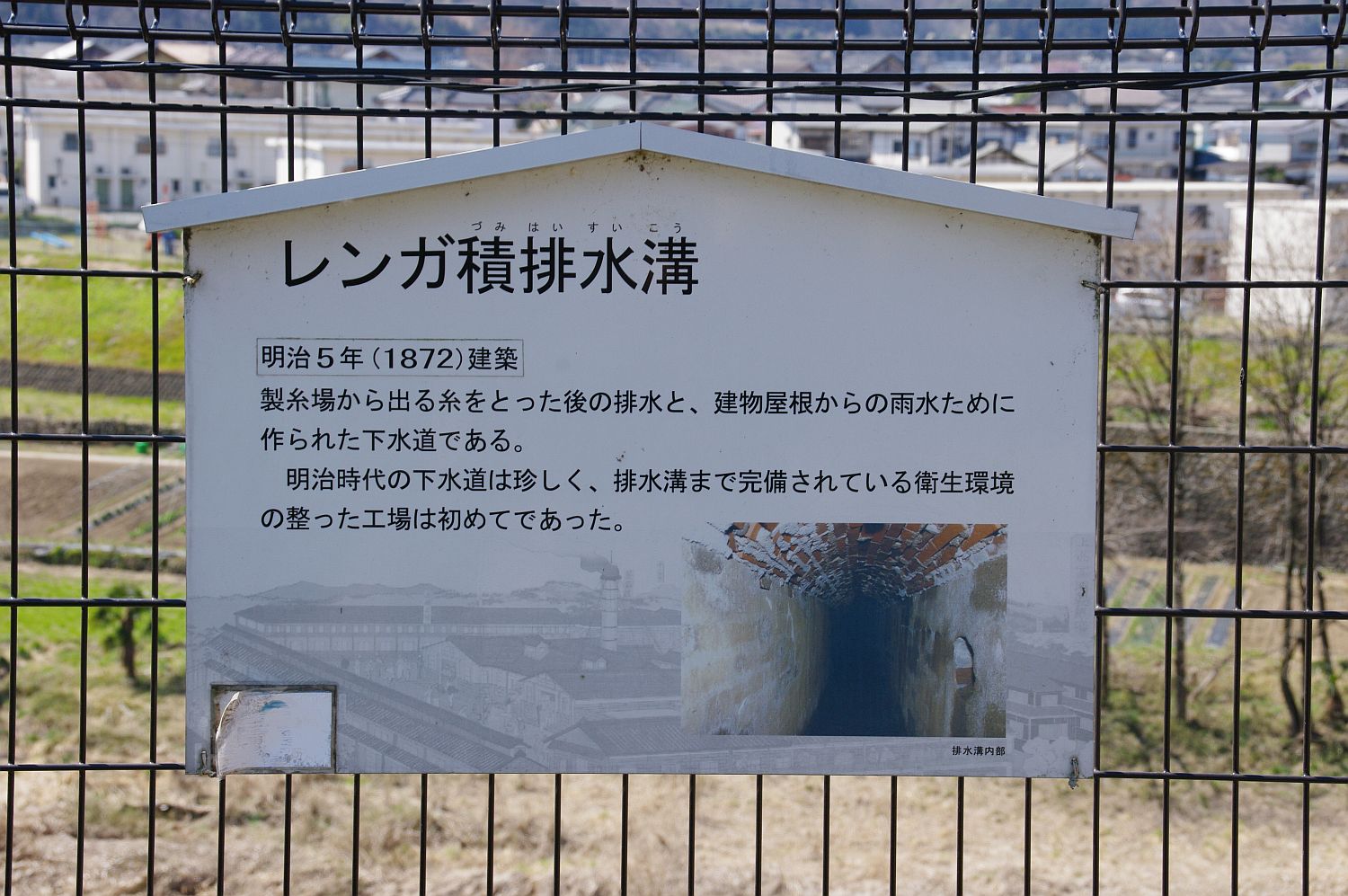 b0212342_604611.jpg