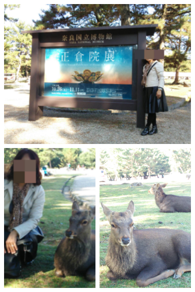 c0292342_14302389.png