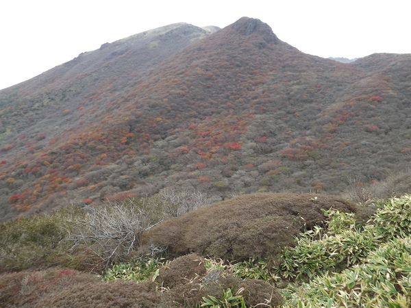 a0206345_1002551.jpg