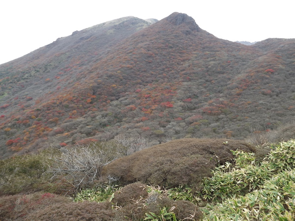 紅葉の九重連山再び 星生山～天狗ヶ城～中岳～白口岳～稲星山～久住山～扇ヶ鼻を行く_a0206345_1002551.jpg