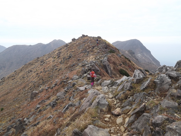 紅葉の九重連山再び 星生山～天狗ヶ城～中岳～白口岳～稲星山～久住山～扇ヶ鼻を行く_a0206345_10225124.jpg