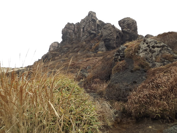 紅葉の九重連山再び 星生山～天狗ヶ城～中岳～白口岳～稲星山～久住山～扇ヶ鼻を行く_a0206345_1143995.jpg