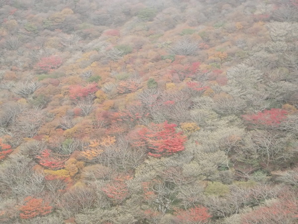 紅葉の九重連山再び 星生山～天狗ヶ城～中岳～白口岳～稲星山～久住山～扇ヶ鼻を行く_a0206345_120231.jpg