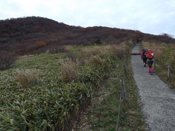 紅葉の九重連山再び 星生山～天狗ヶ城～中岳～白口岳～稲星山～久住山～扇ヶ鼻を行く_a0206345_9482759.jpg