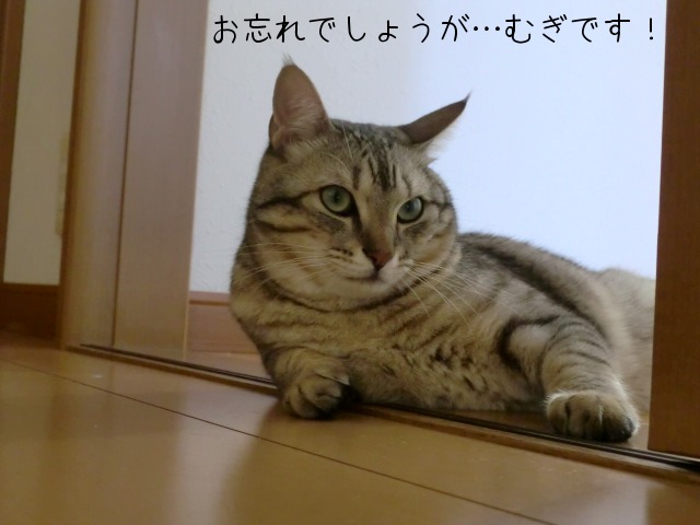 c0259945_10513371.jpg