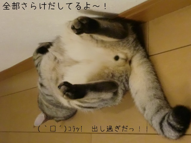 c0259945_10544830.jpg